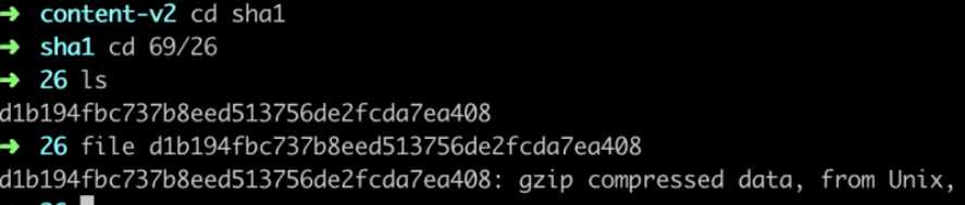 image-20250310162238121